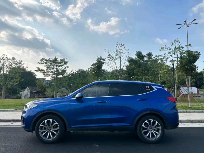 珠海19年长城汽车WEY VV64