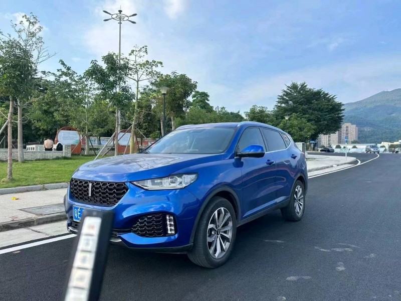 珠海19年长城汽车WEY VV66