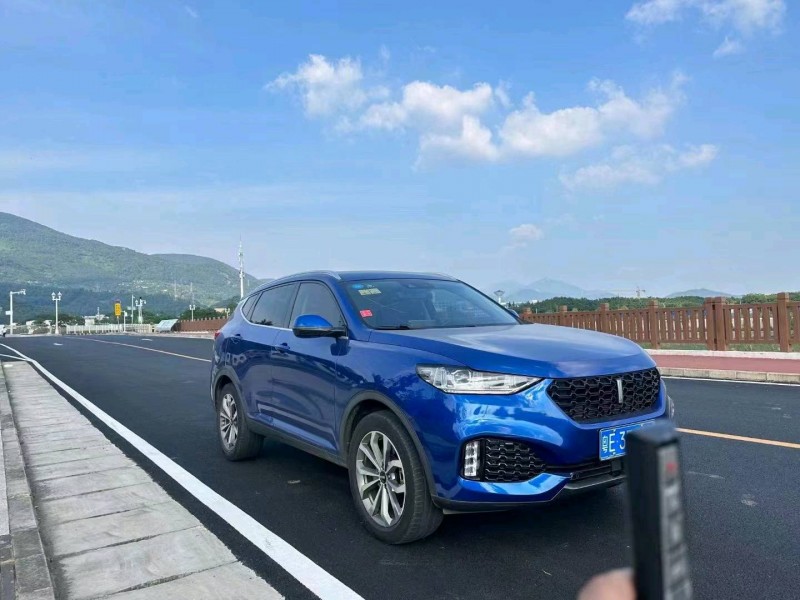 珠海19年长城汽车WEY VV69