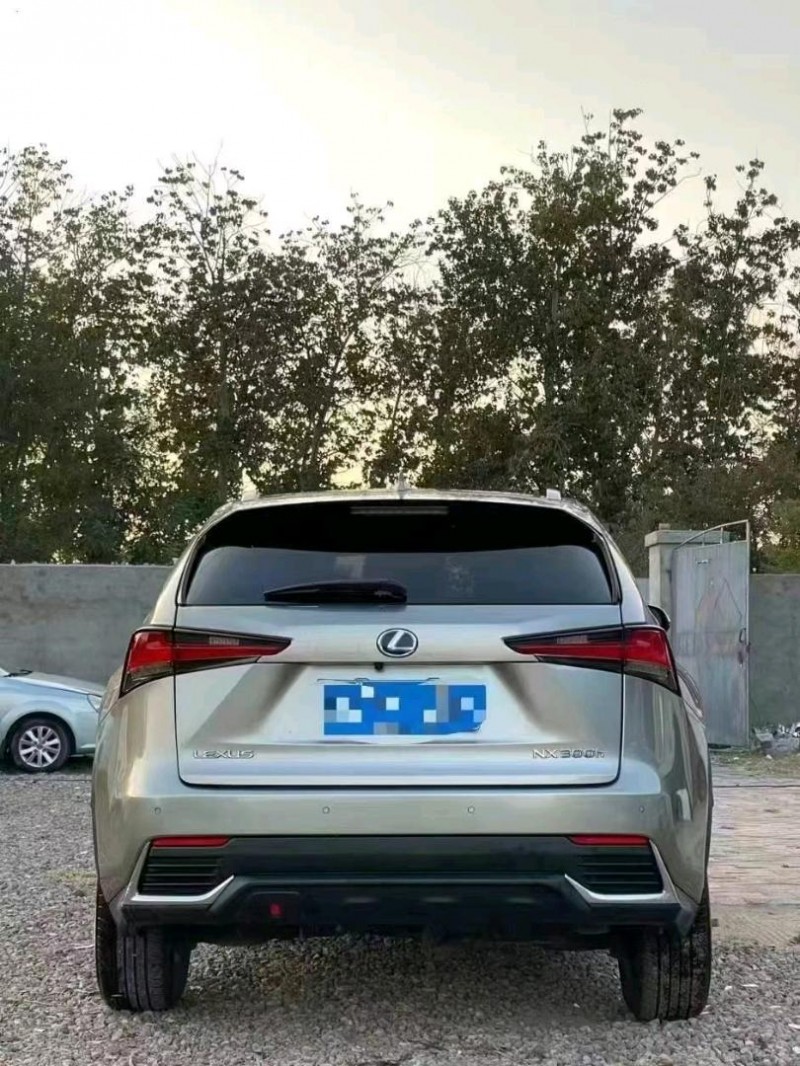 枣庄19年雷克萨斯NX2