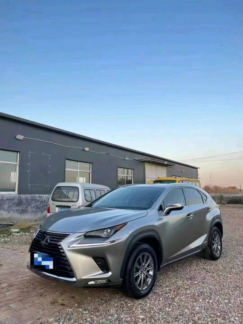 枣庄19年雷克萨斯NX6