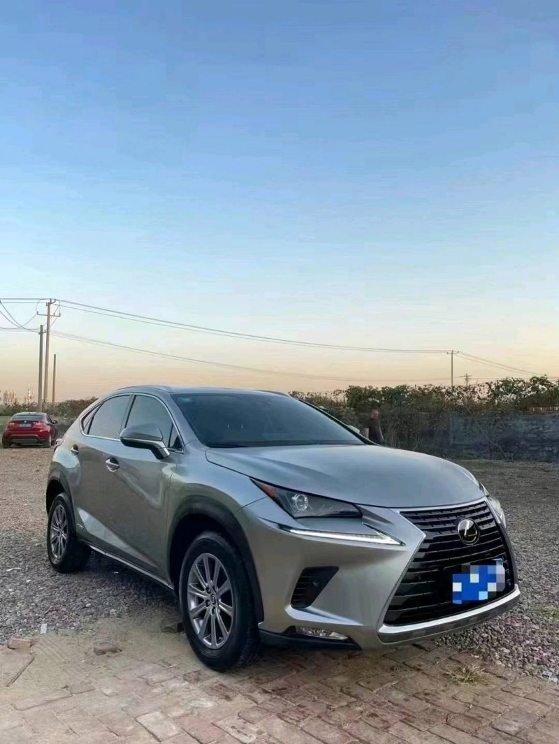 枣庄19年雷克萨斯NX9
