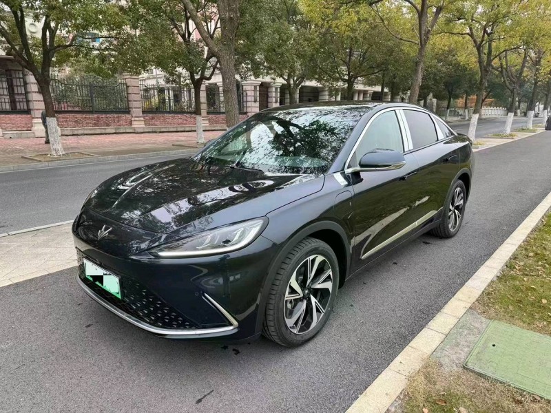 嘉兴23年极狐汽车阿尔法2