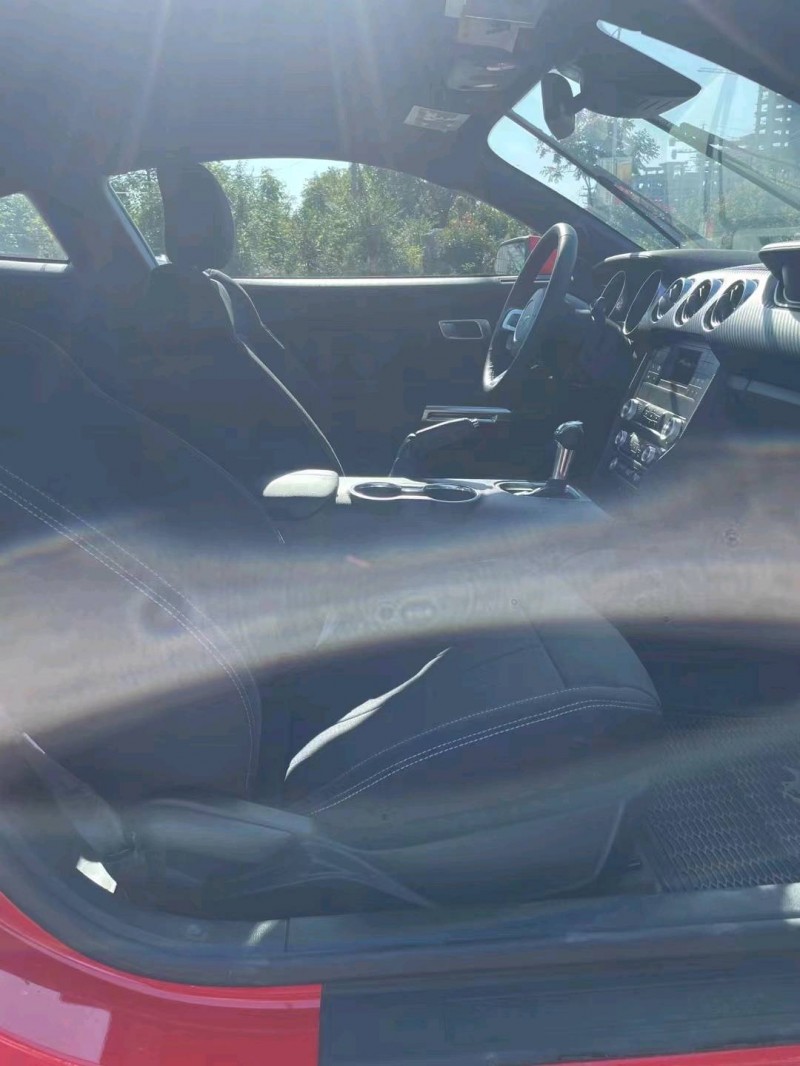 枣庄23年福特野马5