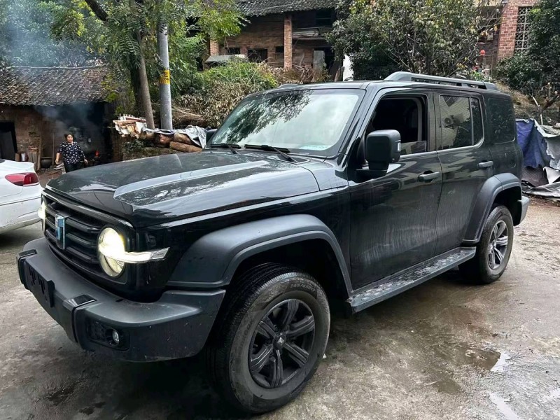 婁底23年長城汽車坦克3005