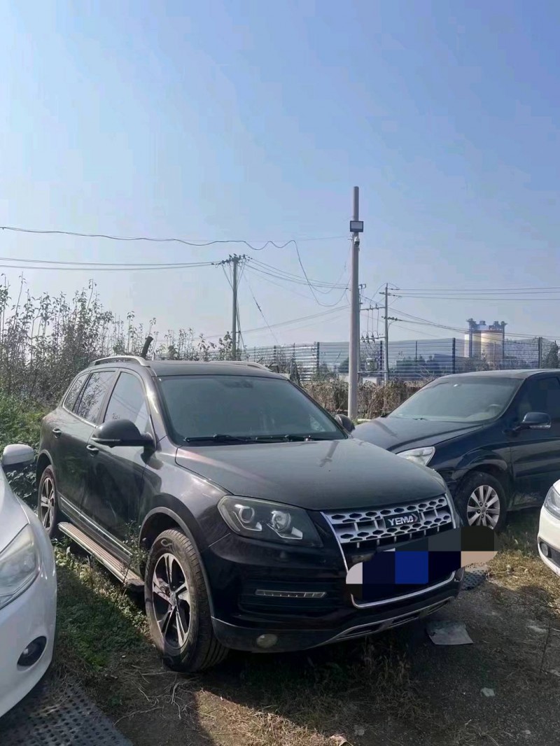 菏澤18年野馬汽車T704