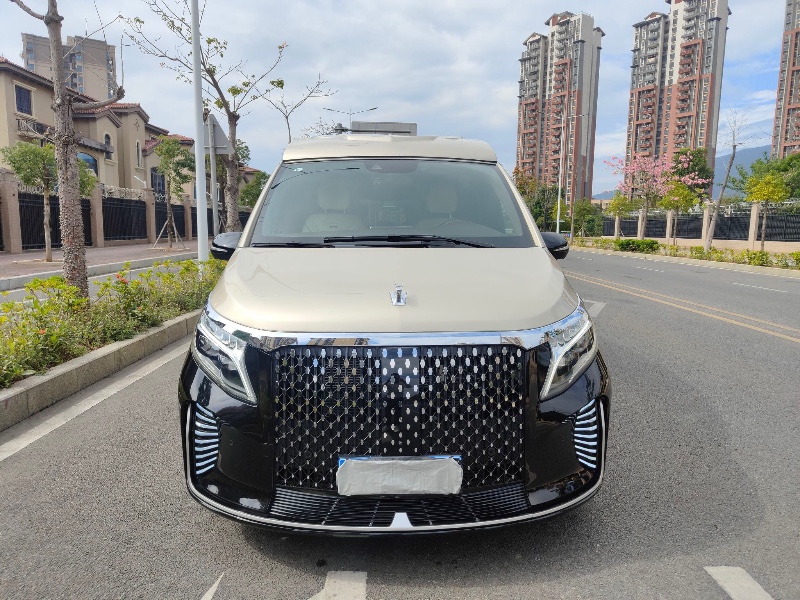 东莞22年奔驰V1