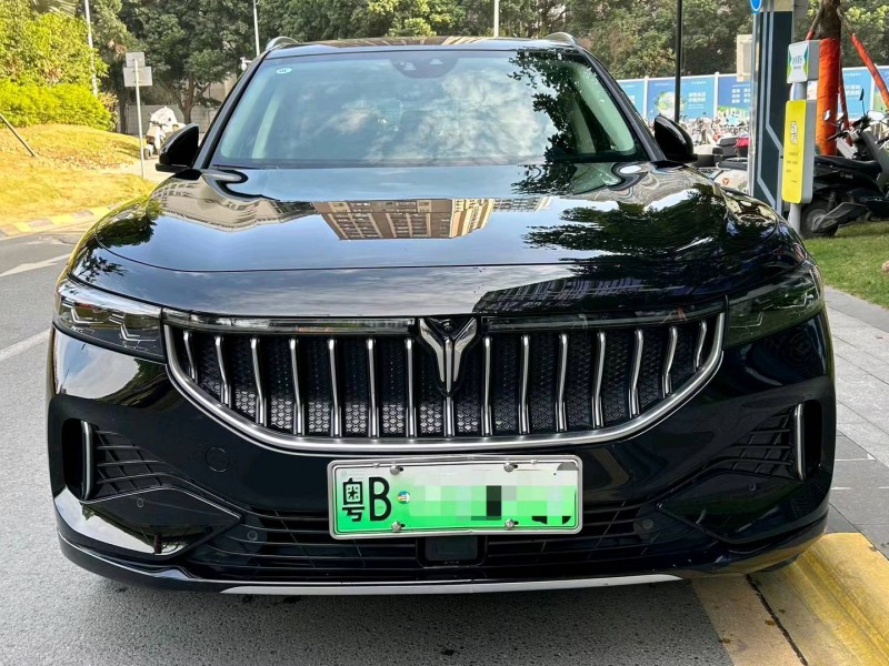廣州21年嵐圖汽車FREE1