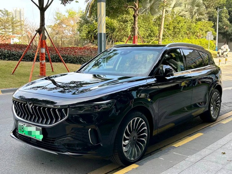 廣州21年嵐圖汽車FREE3