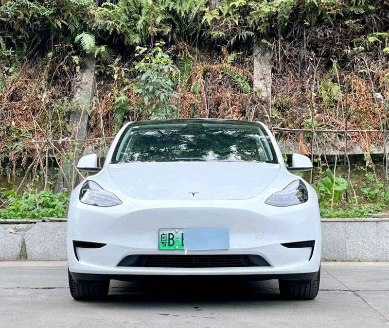 汕頭22年特斯拉MODEL Y1