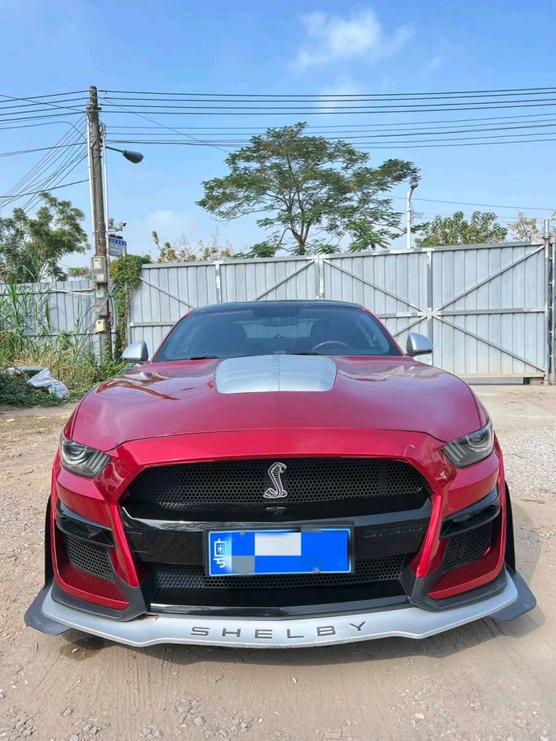 广州19年福特野马1