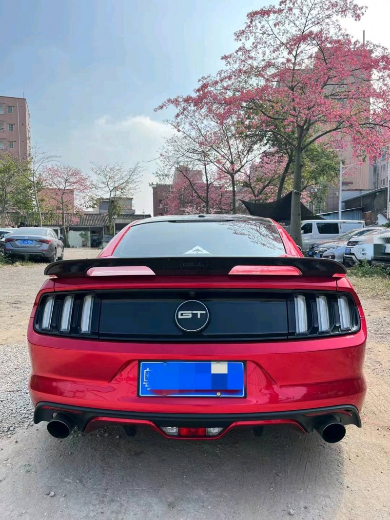 广州19年福特野马9