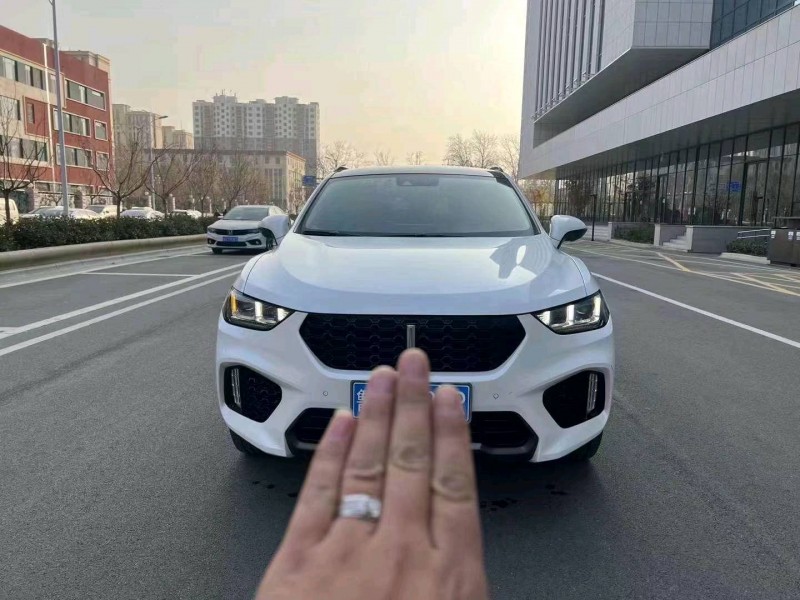 枣庄18年长城汽车WEY VV51