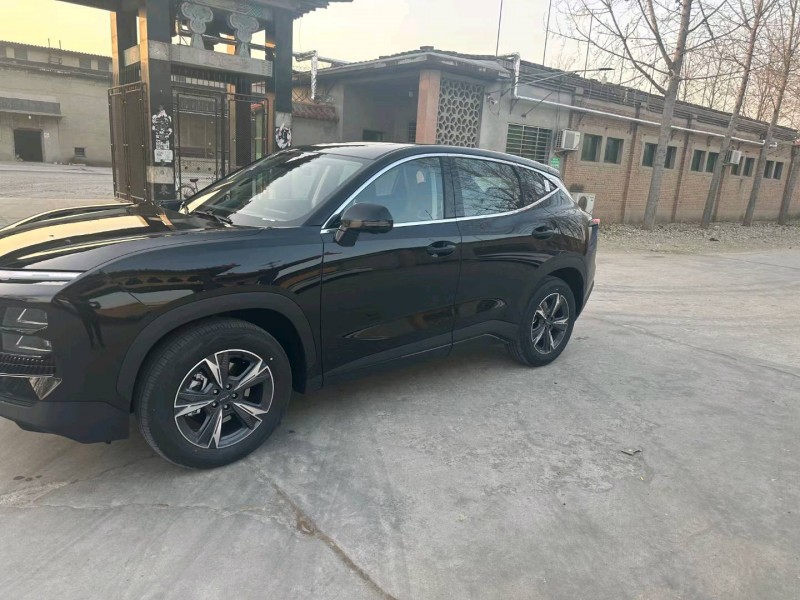 保定23年奇瑞捷途大圣3