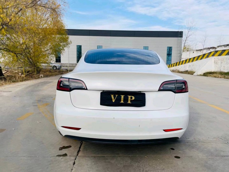 徐州20年特斯拉MODEL 39