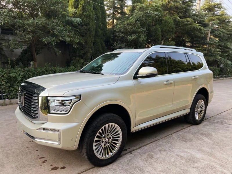 潍坊22年长城汽车坦克5003