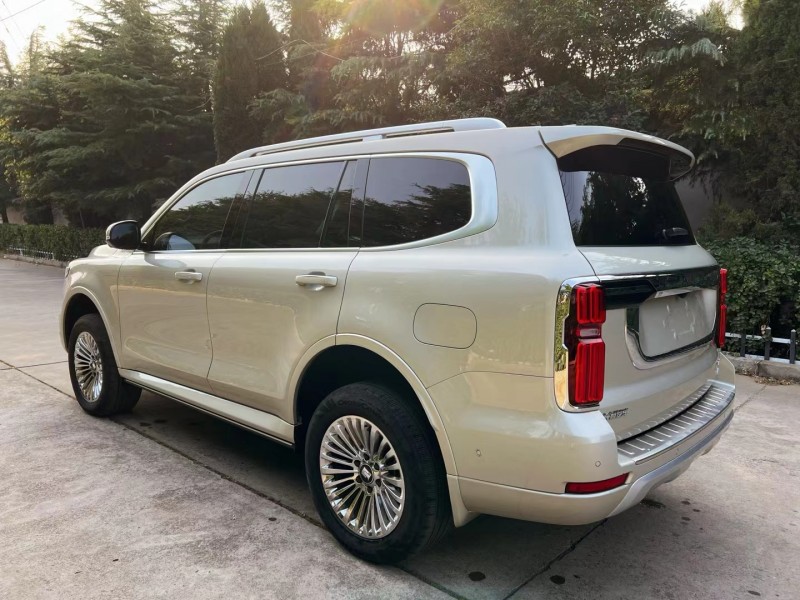 潍坊22年长城汽车坦克5005