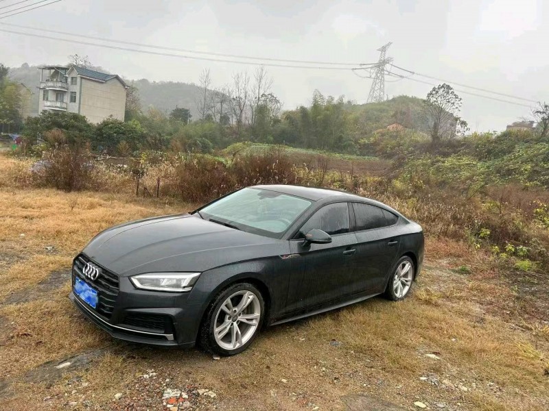 嘉兴20年奥迪A51