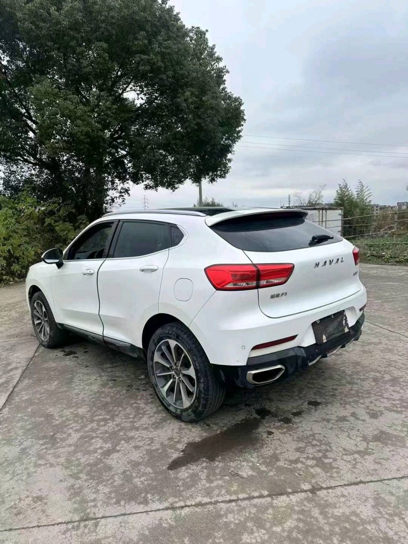 嘉兴19年哈弗F54