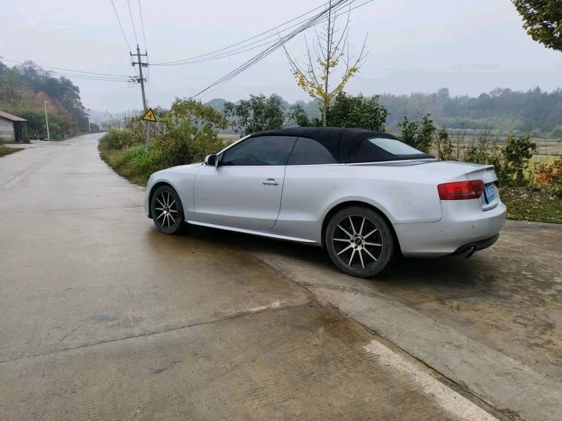 新余10年奧迪A53