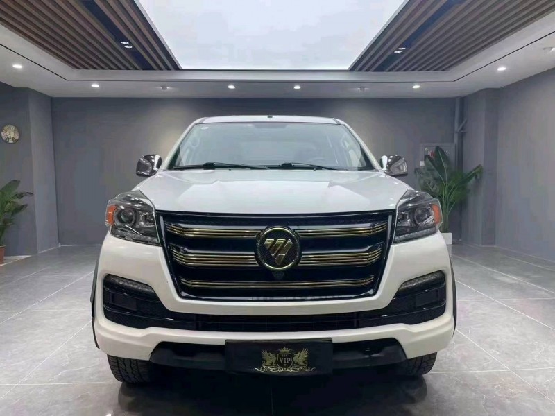 成都20年福特拓路者1