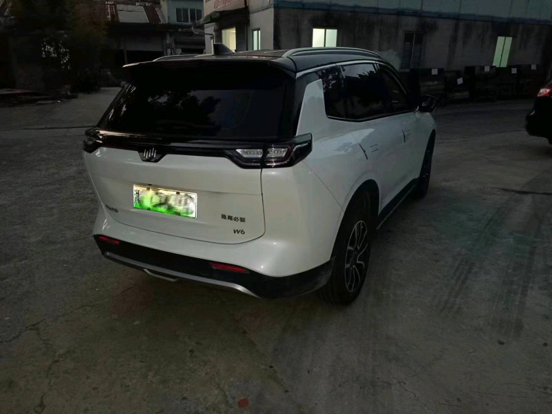 湛江22年威馬汽車W68