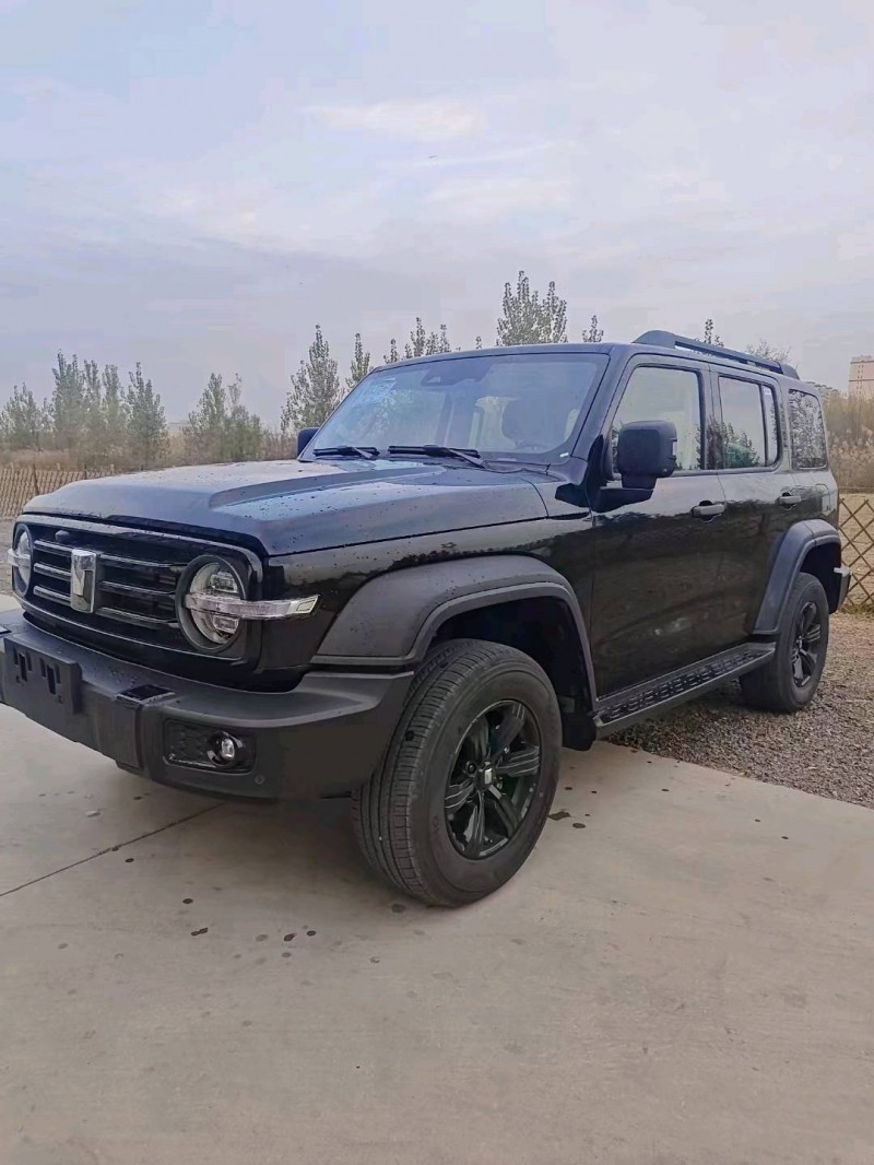 廊坊23年长城汽车坦克3002