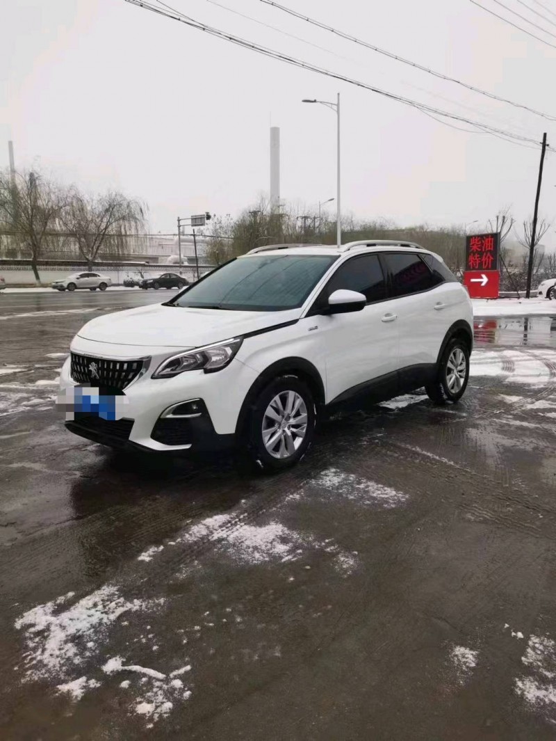 保定18年标致40083