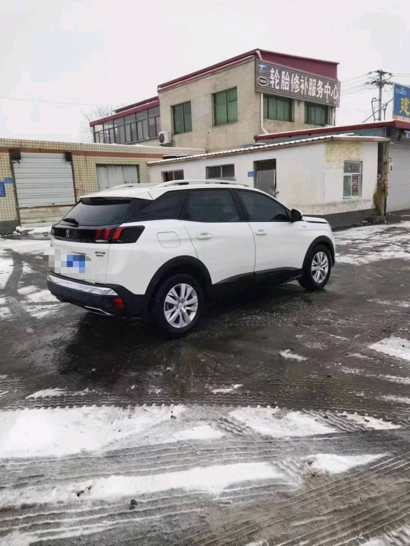 保定18年标致40087