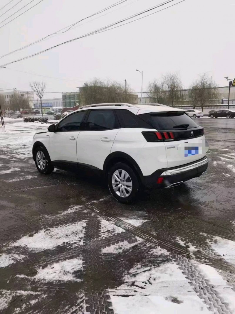 保定18年标致40088