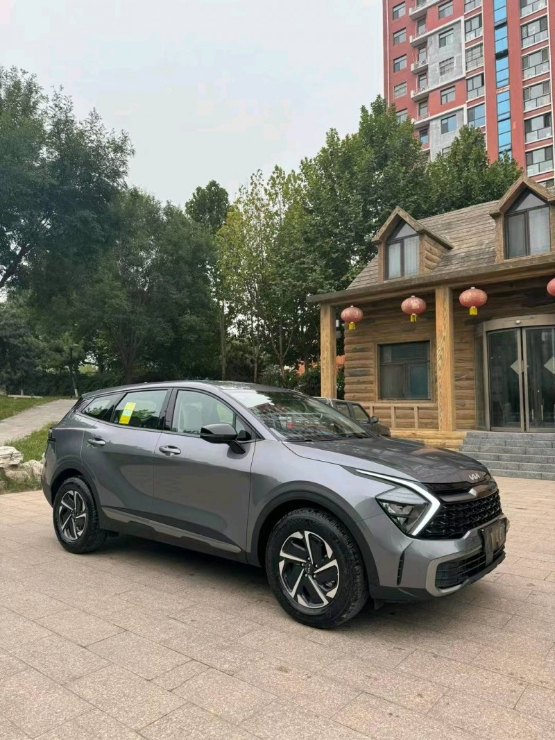 邢台23年起亚狮铂3