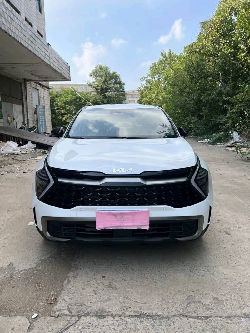 邯郸23年起亚狮铂1