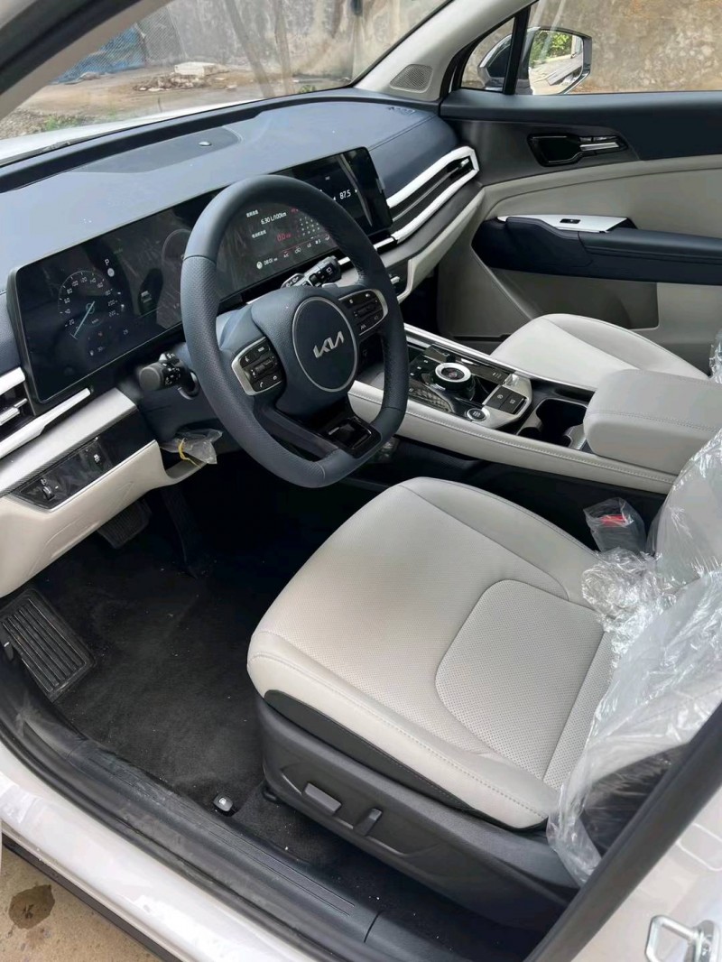 邯郸23年起亚狮铂2