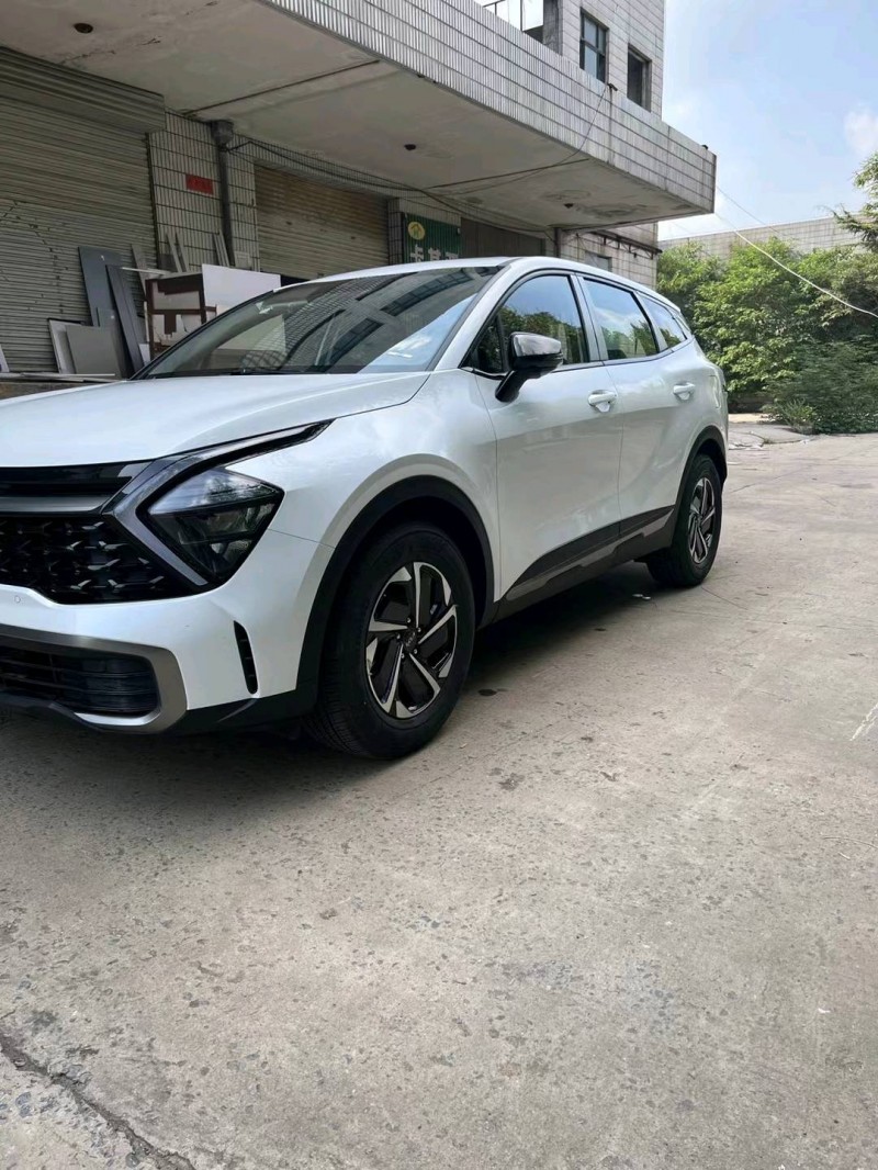 邯郸23年起亚狮铂5