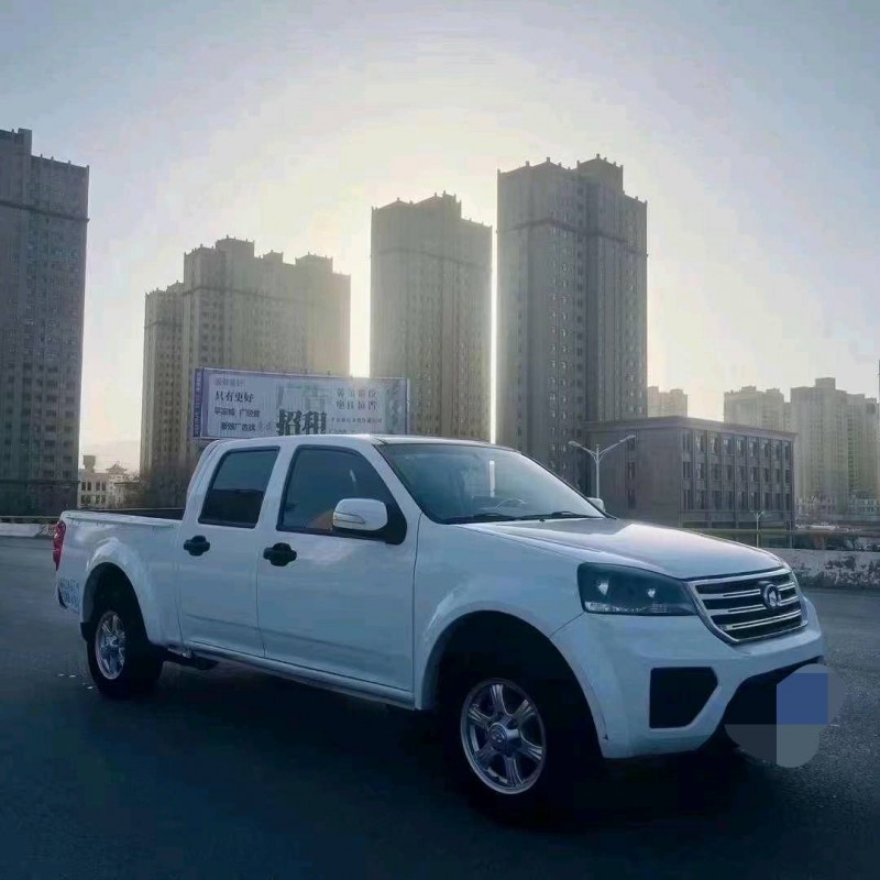 成都20年长城汽车风骏55