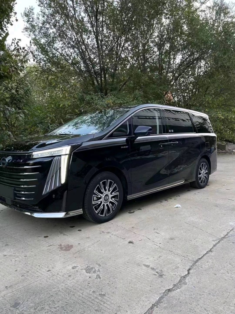 邯郸23年传祺E9MAX2