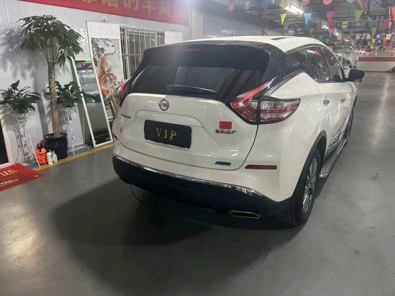 衡陽19年日產樓蘭6
