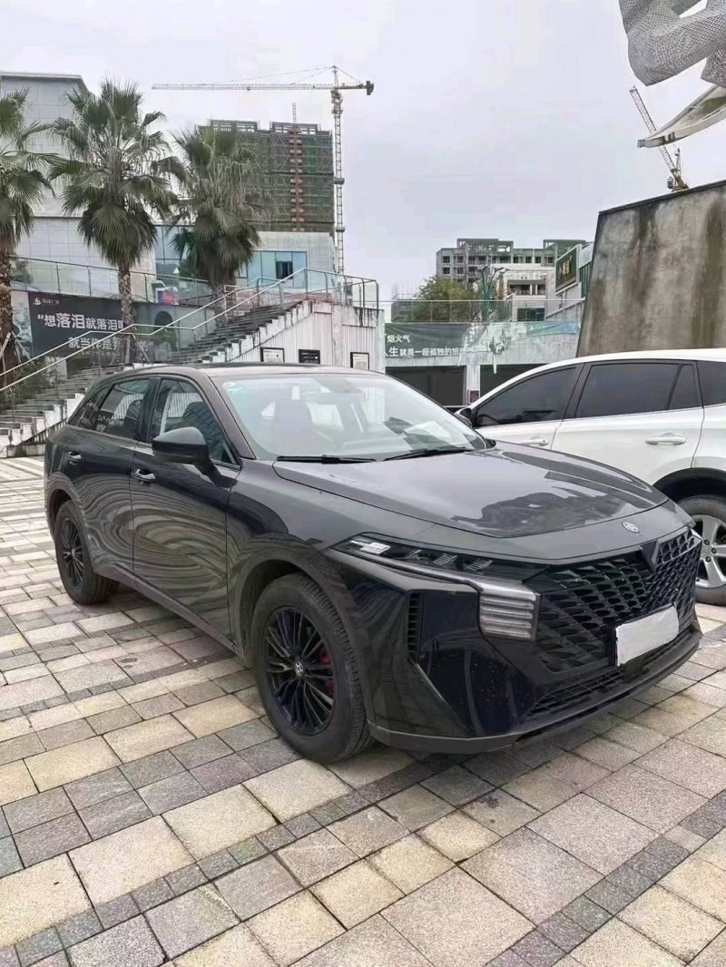 九江23年啟辰大V8