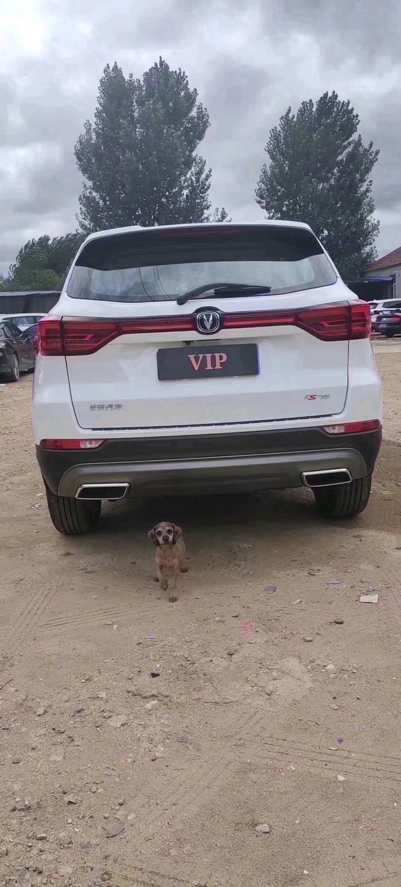 淄博23年长安汽车CS757