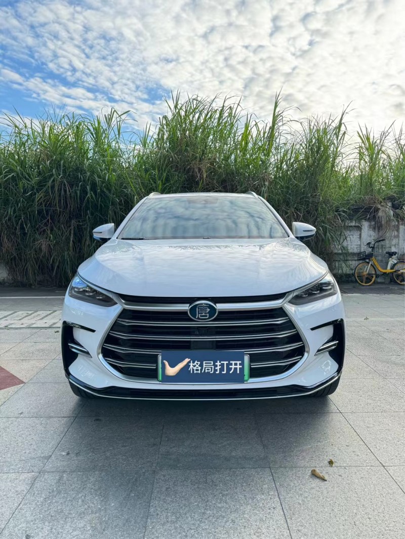 东莞21年比亚迪唐1