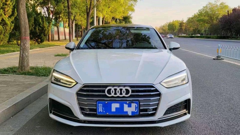 邯郸18年奥迪A51