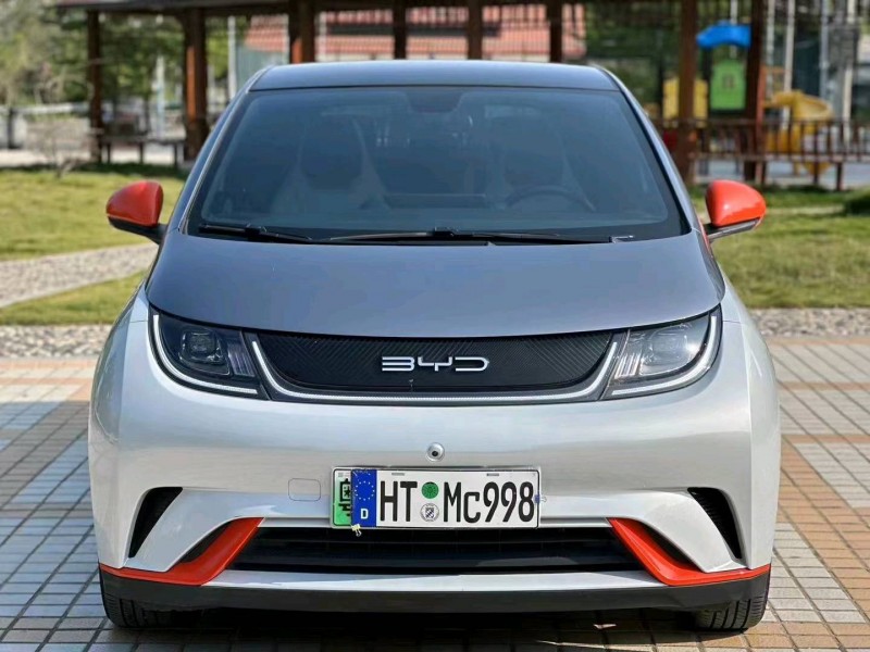 深圳22年比亚迪海豚1