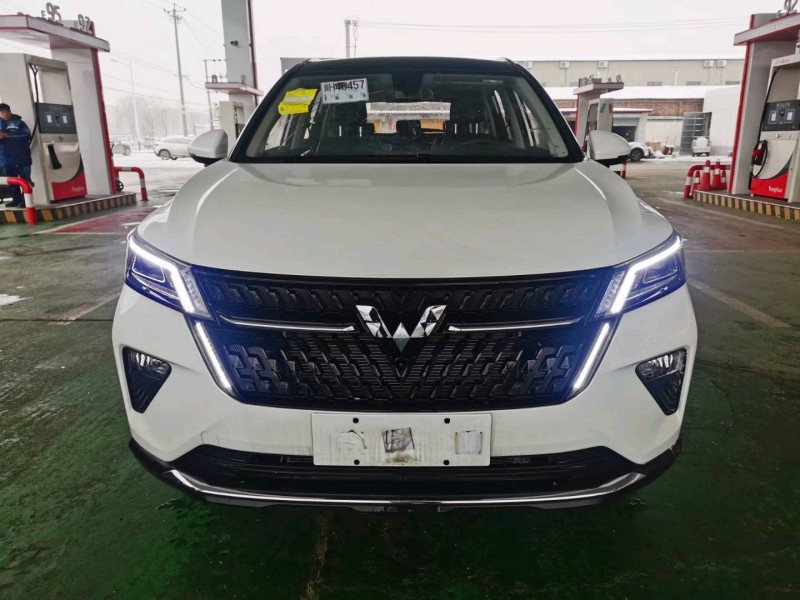 保定23年五菱汽車星辰1