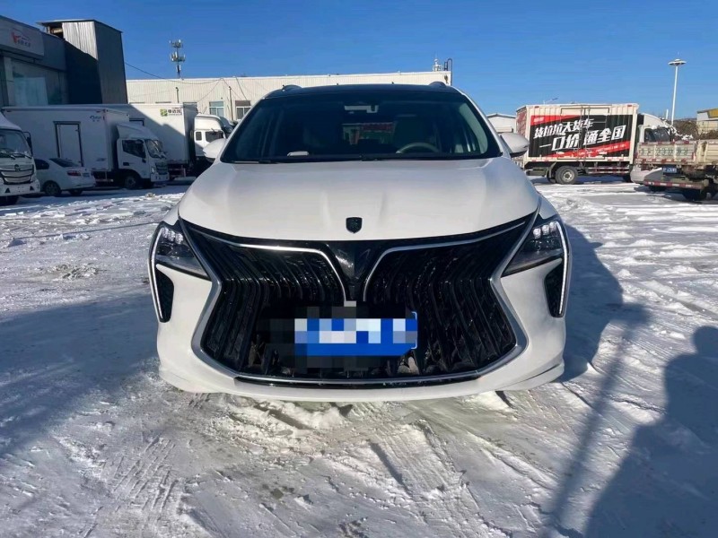 保定23年东风风行游艇1