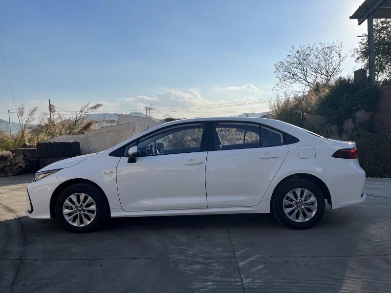 泉州23年豐田卡羅拉6