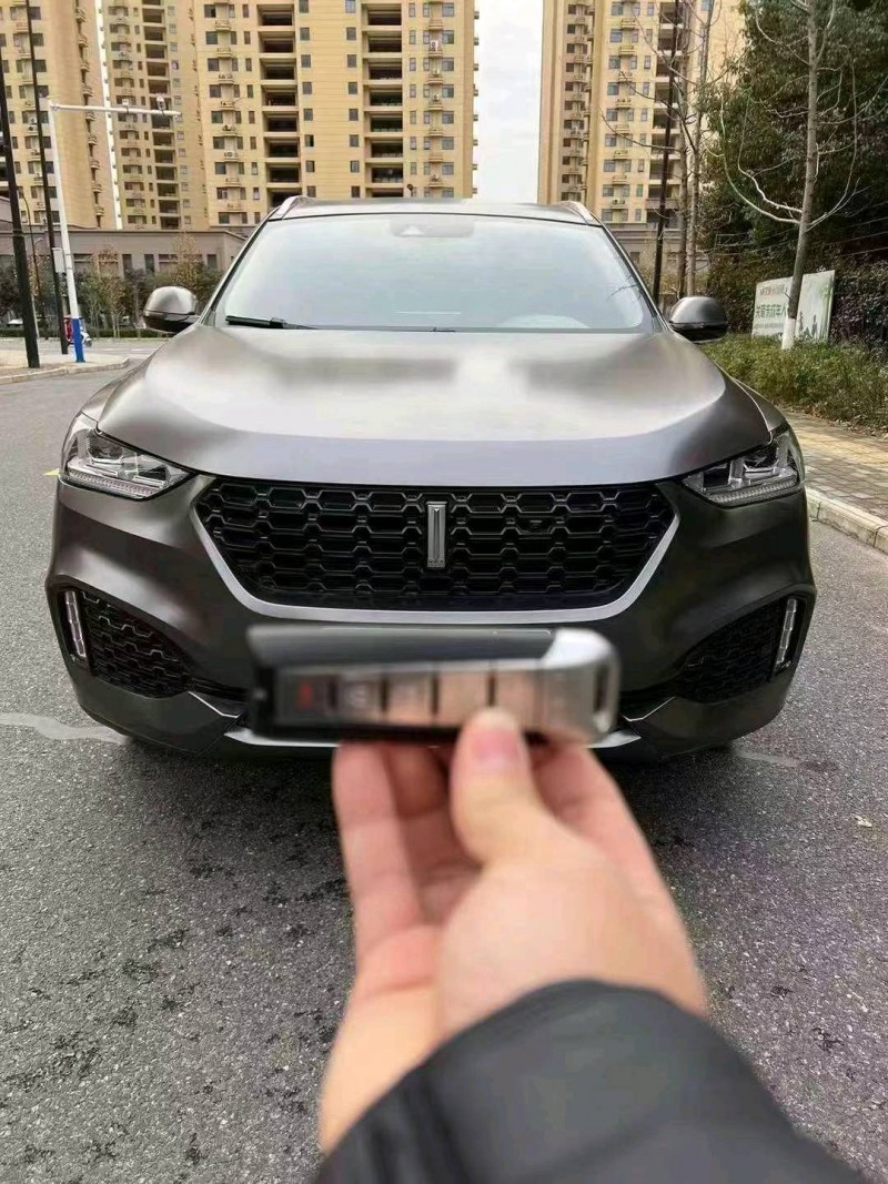 淮南19年長城汽車WEY VV61