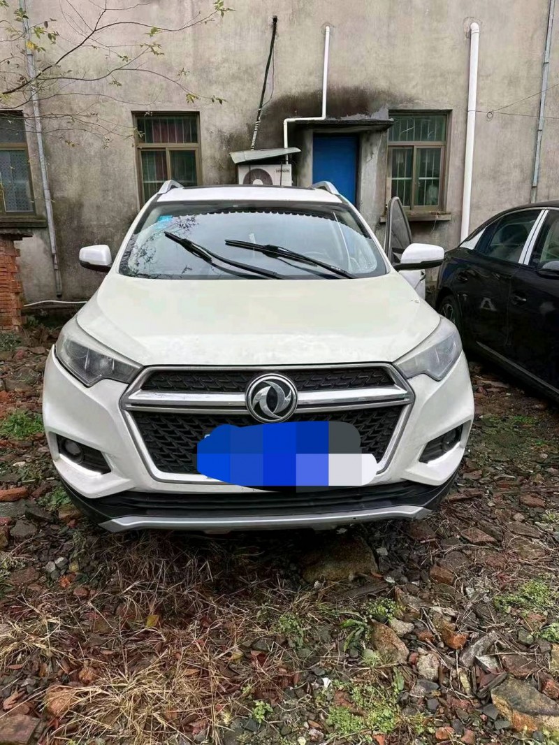 嘉兴17年东风风度1