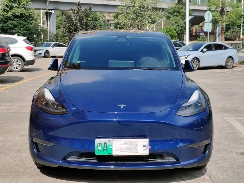 佛山21年特斯拉MODEL Y1