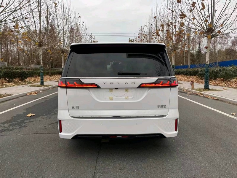 徐州23年嵐圖汽車夢想家9