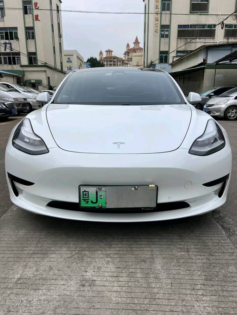 中山19年特斯拉MODEL 31